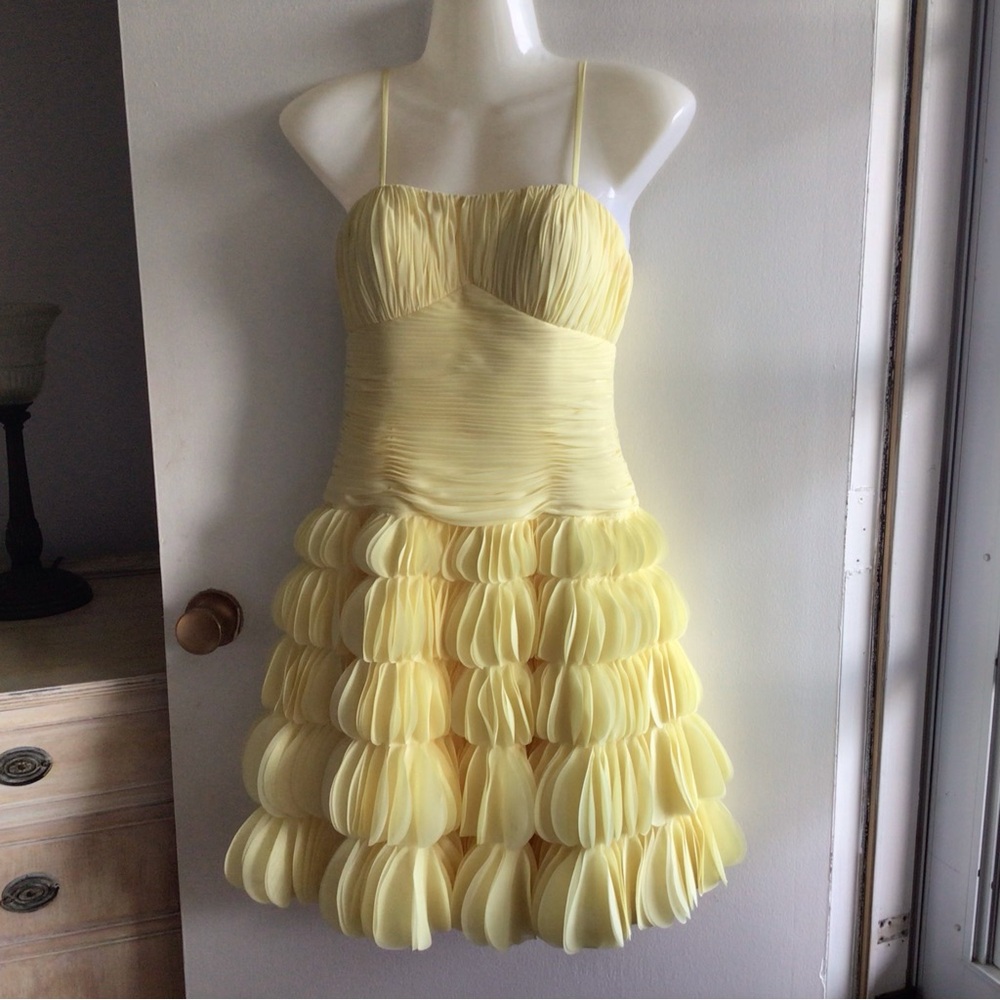 Beautiful SCALA Dress